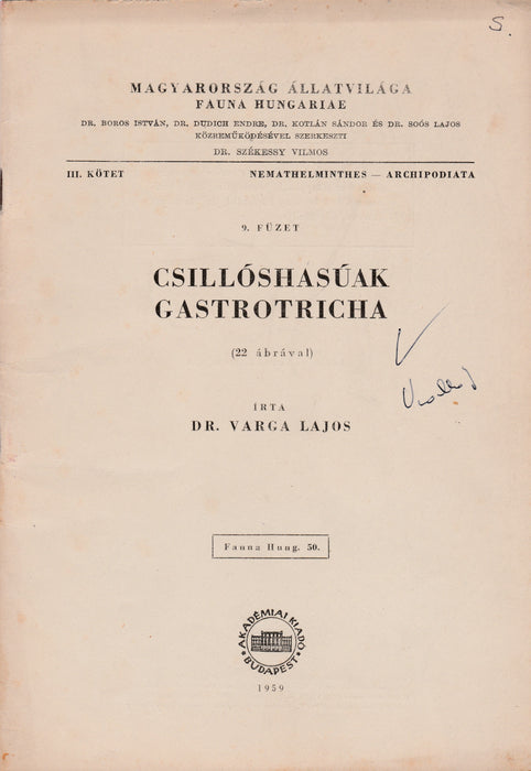 Csillóshasúak - Gastrotricha