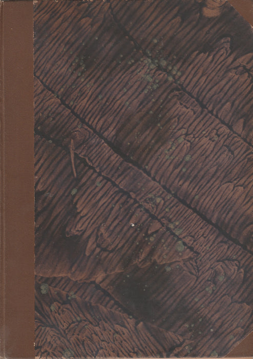 Gynaekologia 1909. VIII. évfolyam 2. és 3. szám