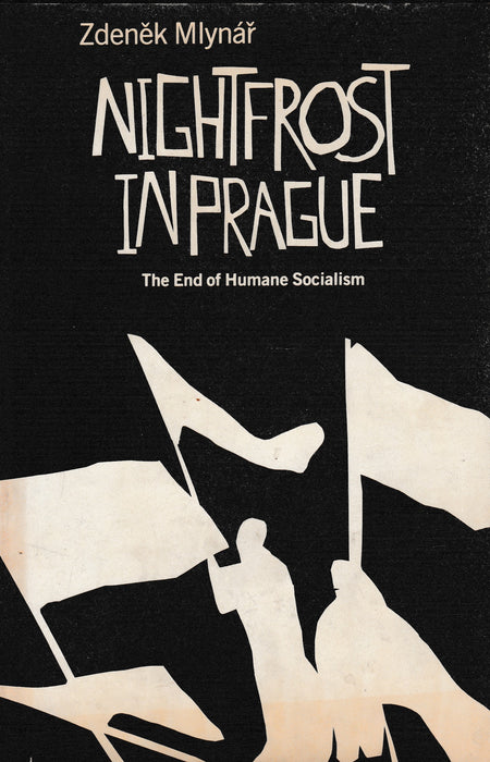 Nightfrost In Prague