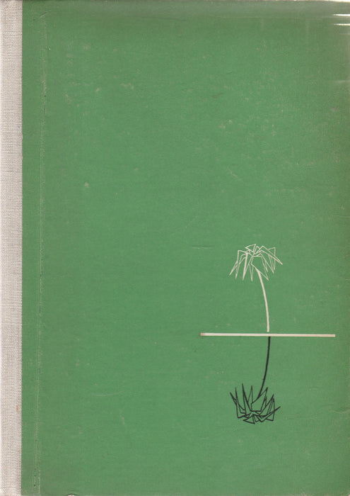 Izrael, az ígéretek földje