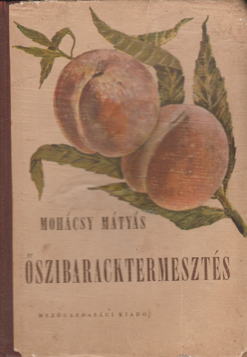 A szerencsés expedíció