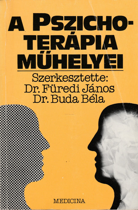 A pszichoterápia műhelyei