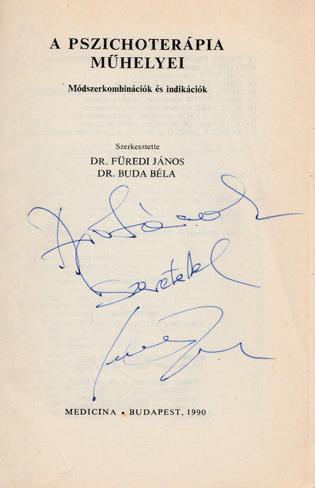 A pszichoterápia műhelyei