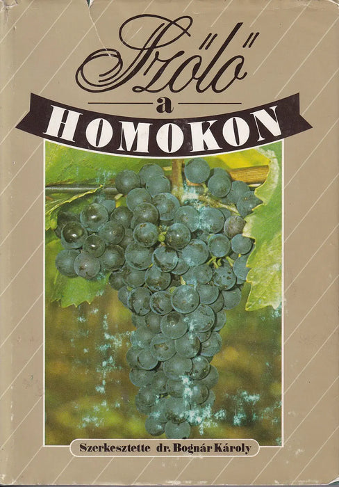 Szőlő a homokon