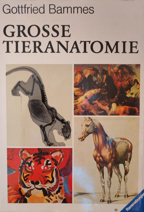 Grosse Tieranatomie