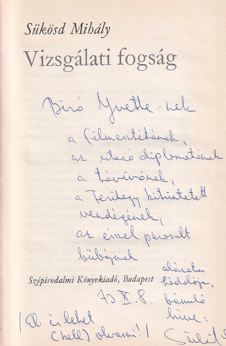 Vizsgálati fogság