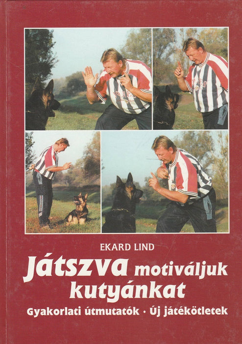 Játszva motiváljuk kutyánkat