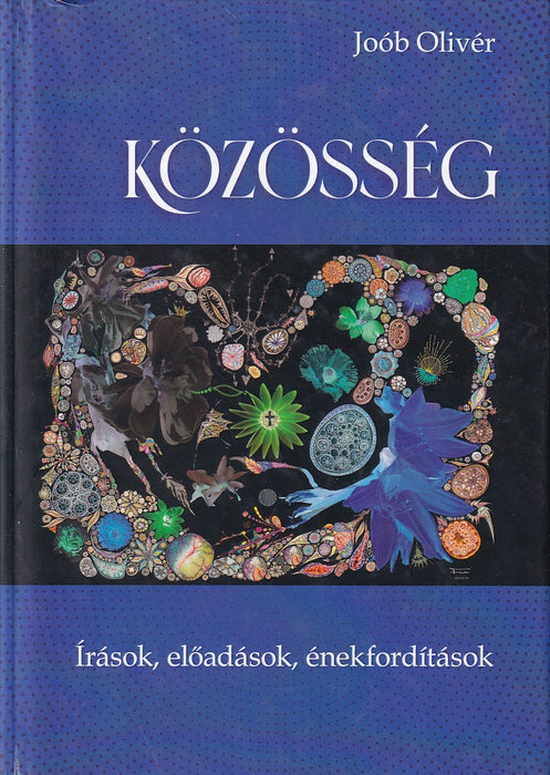 Közösség