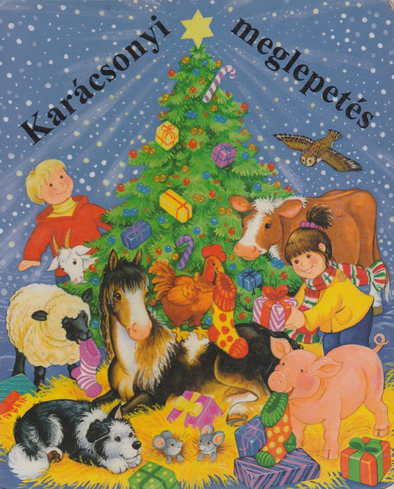 Karácsonyi meglepetés