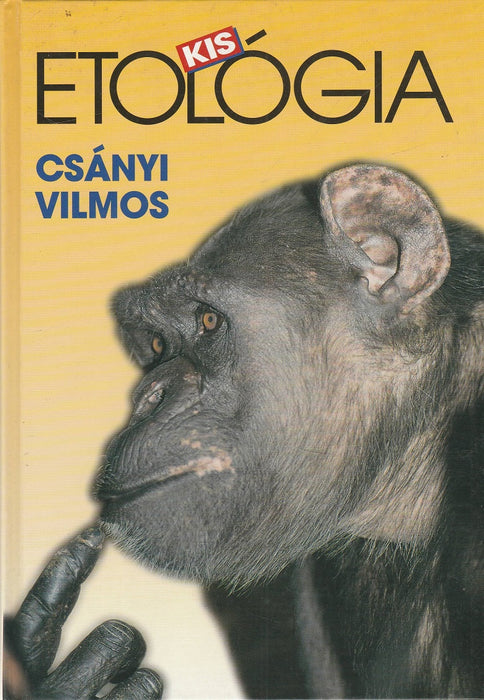 Világostól Trianonig