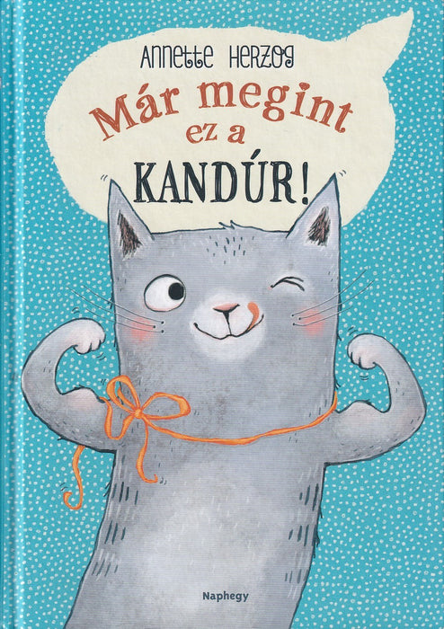 Már megint ez a kandúr!
