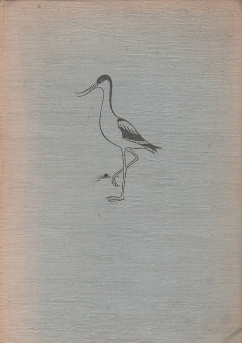 Aves - Madarak