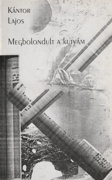 Megbolondult a kutyám