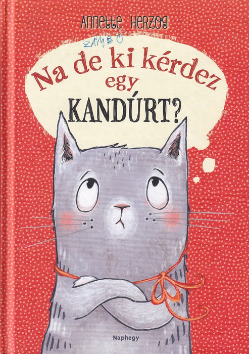 Na de ki kérdez egy kandúrt?