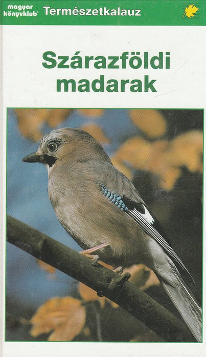 Szárazföldi madarak