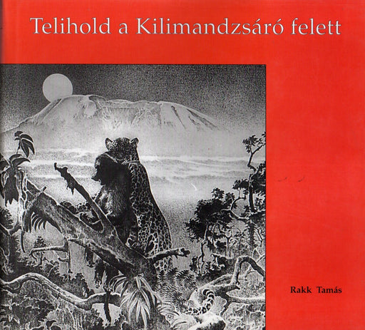 Telihold a Kilimandzsáró felett