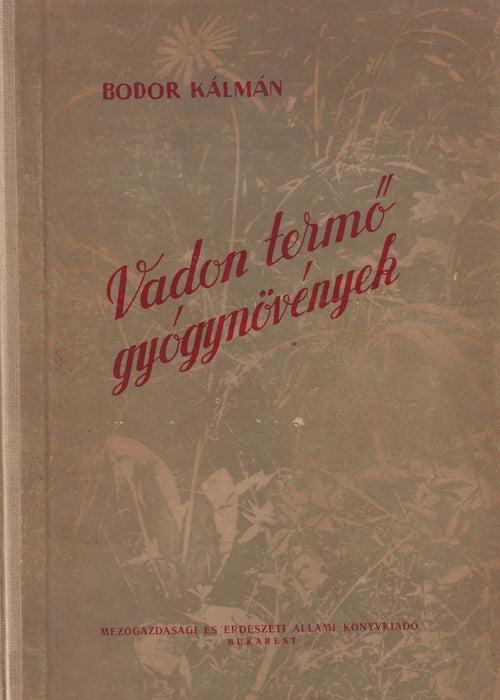 Vadon termő gyógynövények