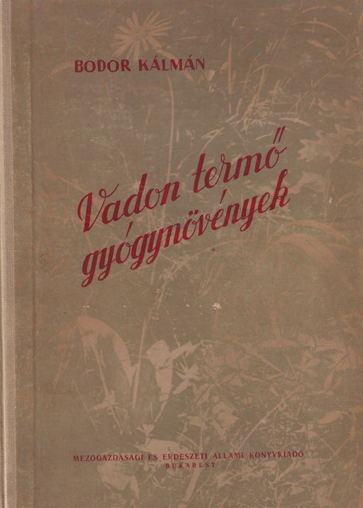 Vadon termő gyógynövények