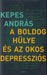 A boldog hülye és az okos depressziós - Oskola Antikvárium