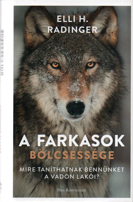 A farkasok bölcsessége - Oskola Antikvárium