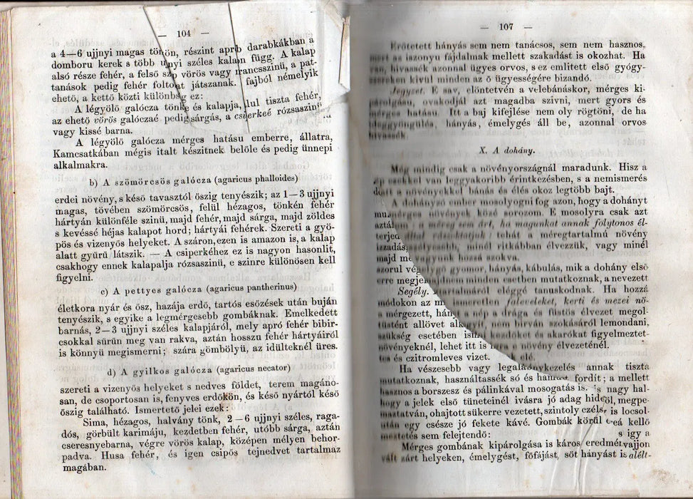 A magyar ember könyvtára IV. - Oskola Antikvárium