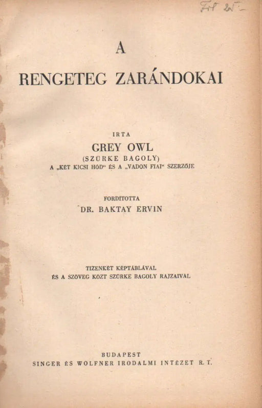 A rengeteg zarándokai - Oskola Antikvárium