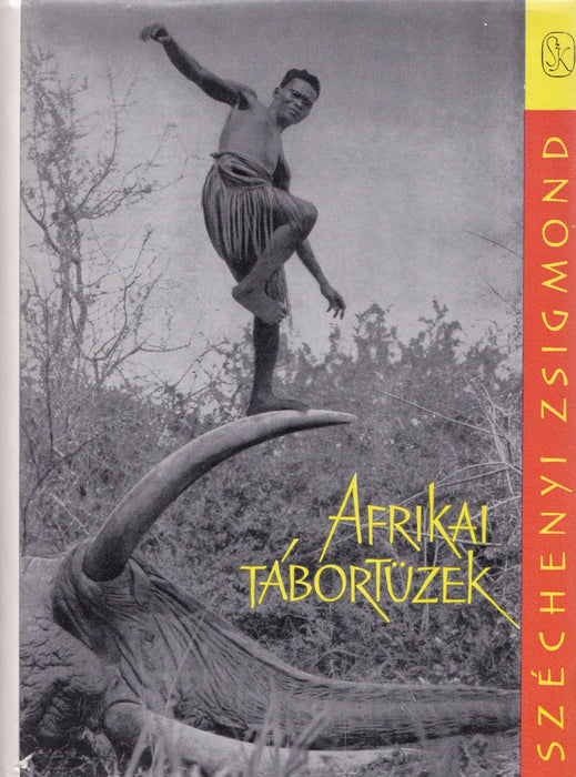 Afrikai tábortüzek - Oskola Antikvárium