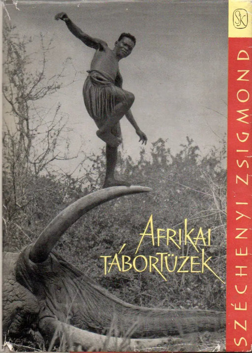 Afrikai tábortüzek - Oskola Antikvárium
