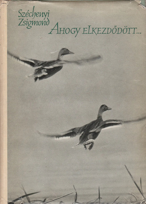 Ahogy elkezdődött... - Oskola Antikvárium