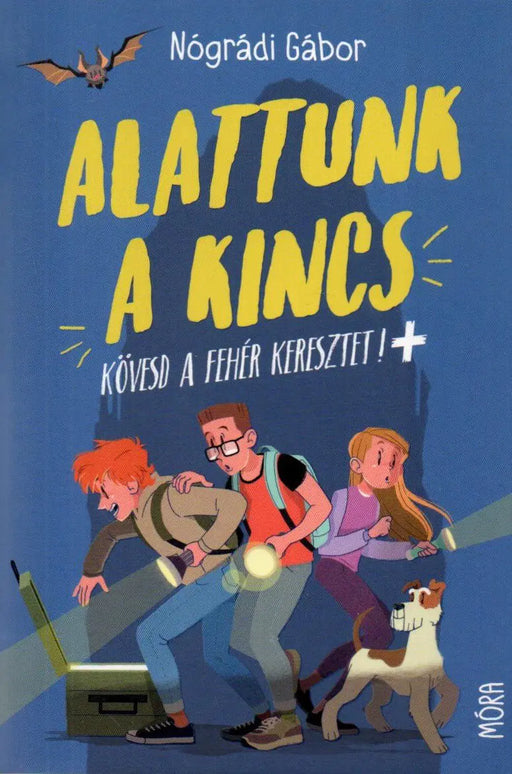 Alattunk a kincs - Oskola Antikvárium