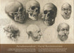 Arcrekonstrukció - Facial Reconstruction - Oskola Antikvárium