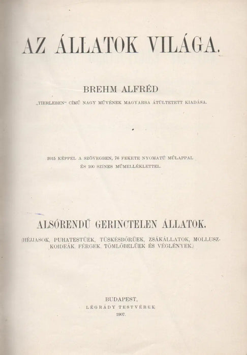 Az állatok világa 10. Alsórendű gerinctelen állatok - Oskola Antikvárium
