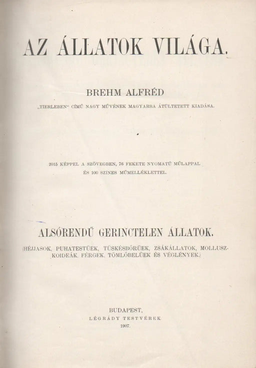 Az állatok világa 10. Alsórendű gerinctelen állatok - Oskola Antikvárium