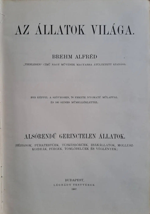 Az állatok világa 10. Alsórendű gerinctelen állatok - Oskola Antikvárium