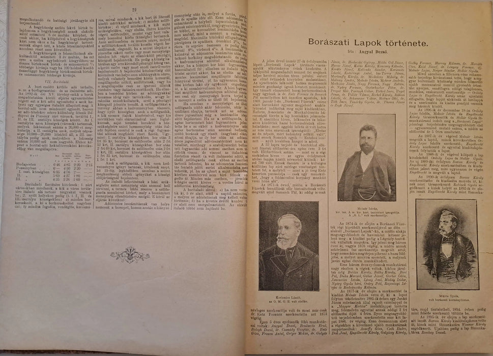 Borászati Lapok jubileumi különlenyomata / emlékkötete - Oskola Antikvárium