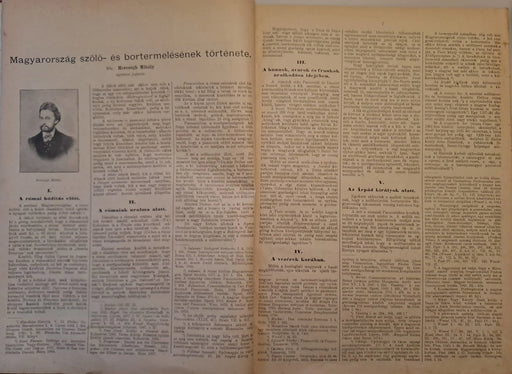 Borászati Lapok jubileumi különlenyomata / emlékkötete - Oskola Antikvárium