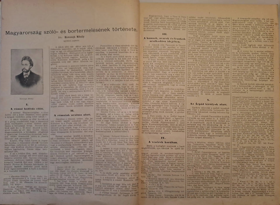 Borászati Lapok jubileumi különlenyomata / emlékkötete - Oskola Antikvárium