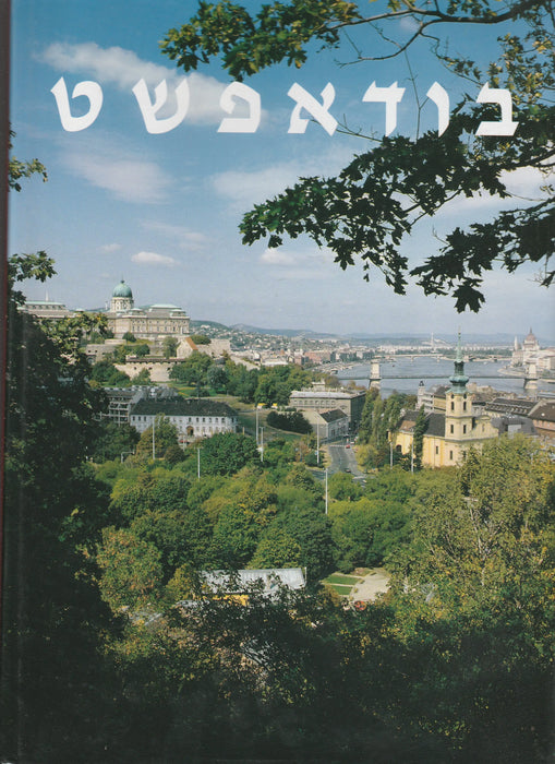Budapest - בודאפשט - Oskola Antikvárium