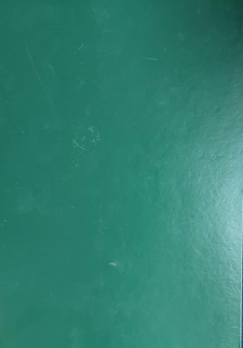 Osttürkische Grammatik der Islamischen Litteratursprachen Mittelasiens