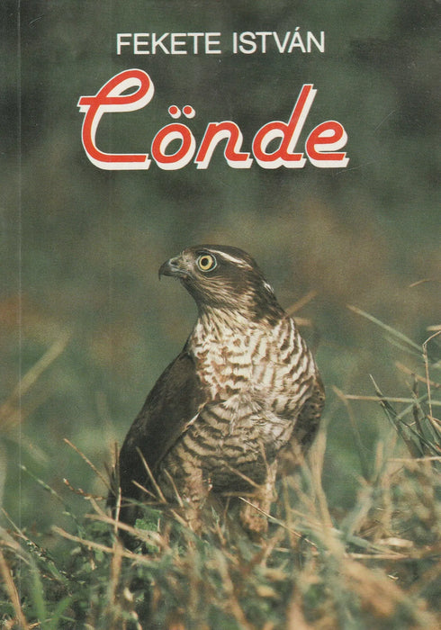 Cönde - Csend - Oskola Antikvárium