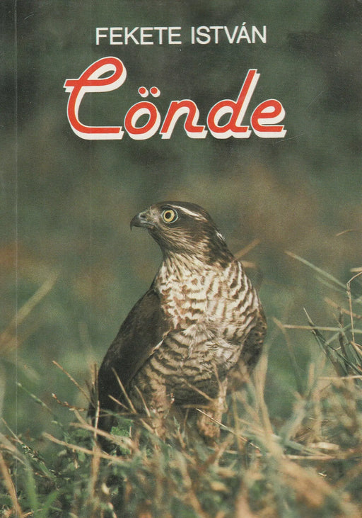 Cönde - Csend - Oskola Antikvárium