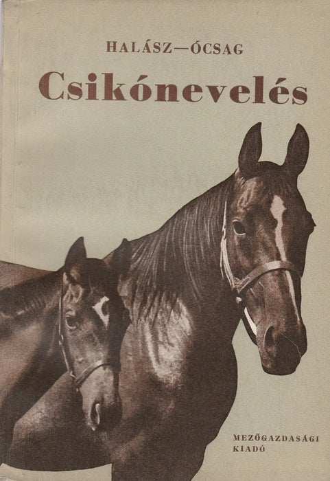 Csikónevelés - Oskola Antikvárium