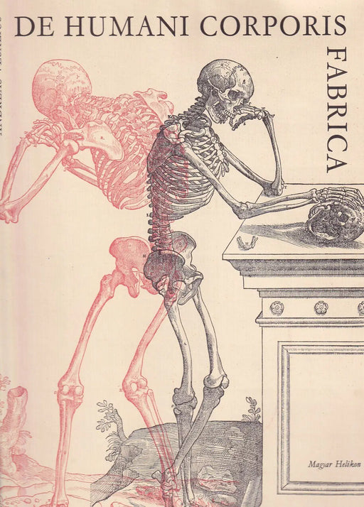 De humani corporis fabrica - Oskola Antikvárium