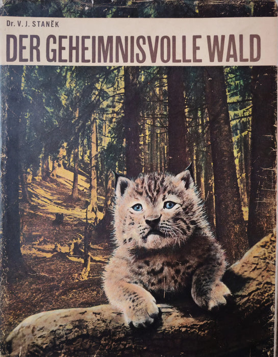 Der geheimnisvolle Wald - Oskola Antikvárium