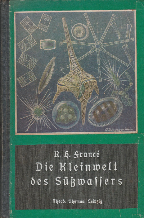 Die Kleinwelt des Süßwassers - Oskola Antikvárium