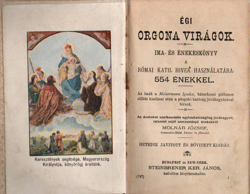 Égi orgona virágok - Oskola Antikvárium