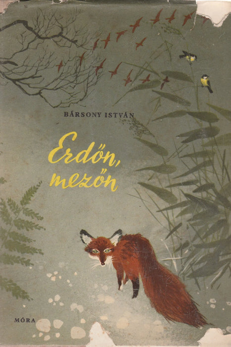 Erdőn, mezőn - Oskola Antikvárium