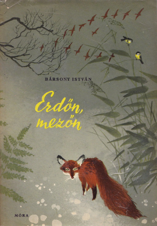 Erdőn, mezőn - Oskola Antikvárium