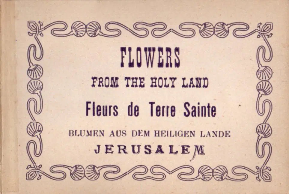 Flowers from the Holy Land - Jerusalem - Oskola Antikvárium