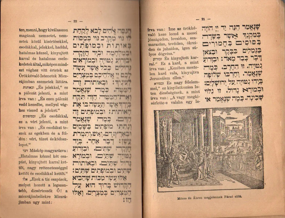 Hagada - הַגָּדָה שֶׁל פֶּסַח - Oskola Antikvárium